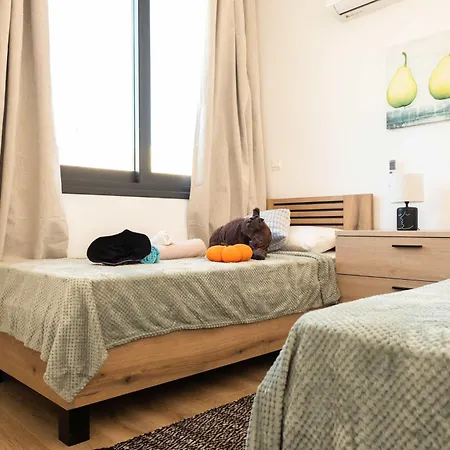 Special Launch Price!family Friendly * Хлоракас